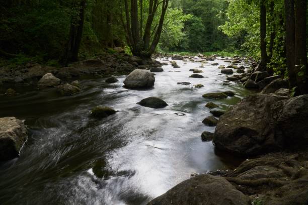 istock High angle long exposure view of water flowing down a rocky stream surrounded by trees 1453433396