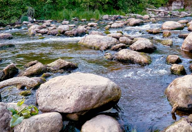 istock High angle view of a babbling brook cascading over the rocks 1453433405