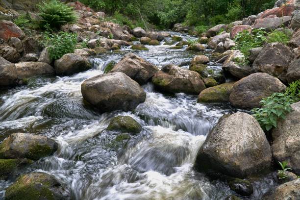 istock High angle long exposure view of a river flowing over a rocky landscape in a forest 1453433424