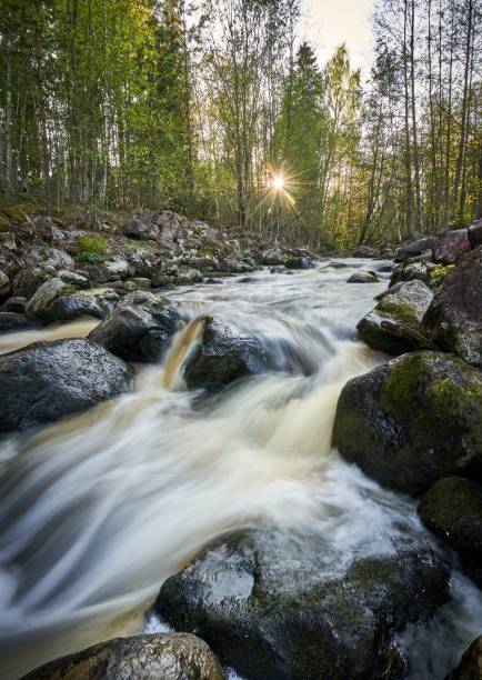 istock Vertical shot of river running through the forest 1453433618