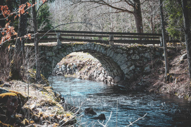istock Magical scenery with an old stone bridge in Sweden 1453433911