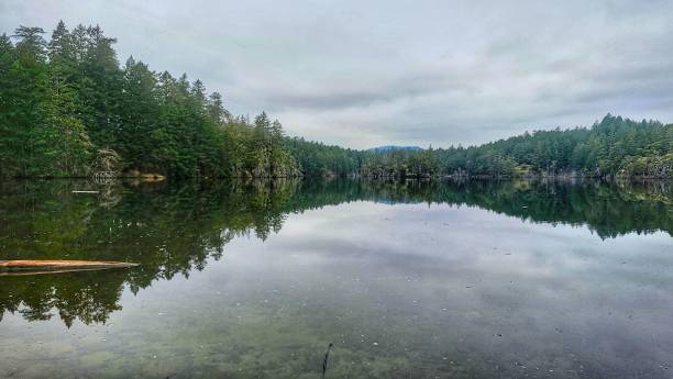 istock Beautiful view of a calm lake surrounded by trees 1453434196