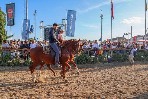 Golega, Portugal – November 12, 2022: A male riding a brown horse during the National horse fair, people around