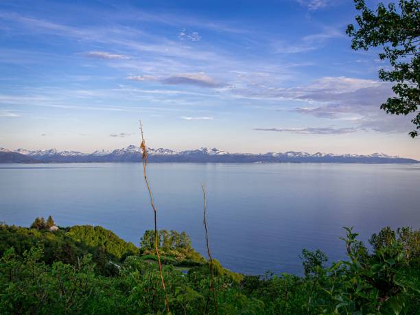 прекрасный вид на спокойное озеро с заснеженными горами на заднем плане на аляске - lake alaska mountain mountain range стоковые фото и изображения