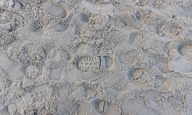 istock Image of footprints in the sand of a beach 1453434701