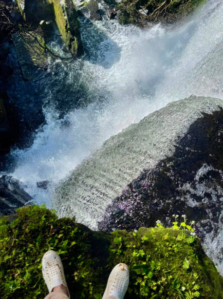 istock Waterfall nature, Green nature 1453440159
