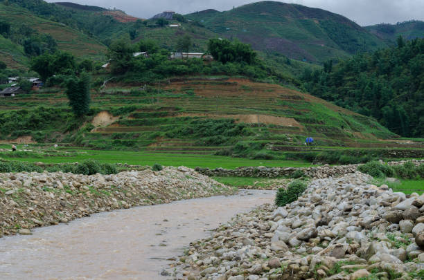 istock Vietnam rice terrace 1453443393