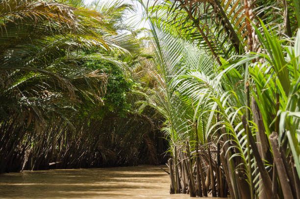 istock river in the jungle vietnam 1453443406