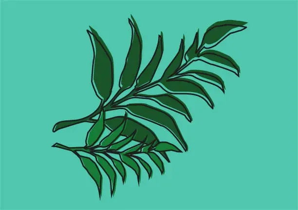 Vector illustration of Eucalyptus leaves