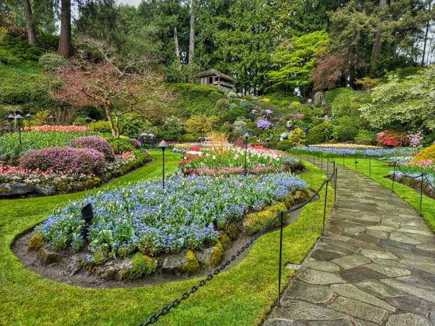 istock Different colorful flowers in the garden 1453450004