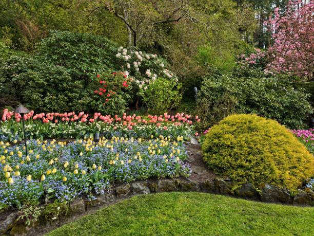 istock Different colorful flowers in the garden 1453450009