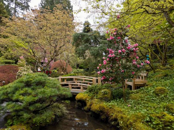 istock Bridge with different colorful flowers in the garden 1453452821