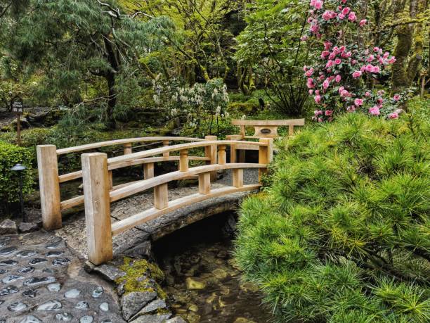 istock Bridge with different colorful flowers in the garden 1453452824