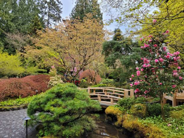 istock Bridge with different colorful flowers in the garden 1453452825