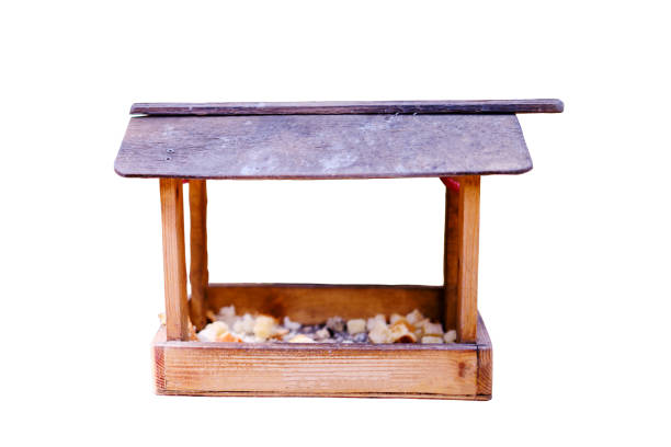 Wooden bread feeder hanging on a tree in the forest, isolated on a white background