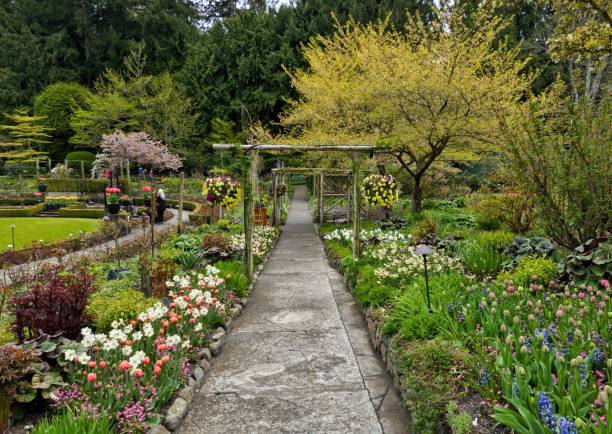 istock Different colorful flowers in the garden 1453454114