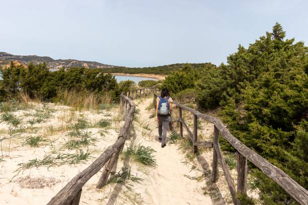 istock A wooden bridge over sand dunes at Cala Mesquida, Mallorca, Spain 1453455939
