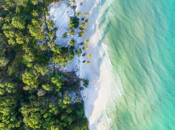 Paradise Bay and Coast of Bãi Tắm Sao - Sao Beach - in the south of the vietnamese island Phú Quốc. Aerial Drone Point of View looking directly down to the tropical palm trees, white sandy beach and turquoise ocean. Bãi Tắm Sao, Phu Quoc, Vietnam, Southeast Asia.
