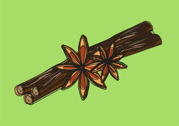 Vector illustration of anise licorice