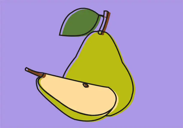 Vector illustration of pear