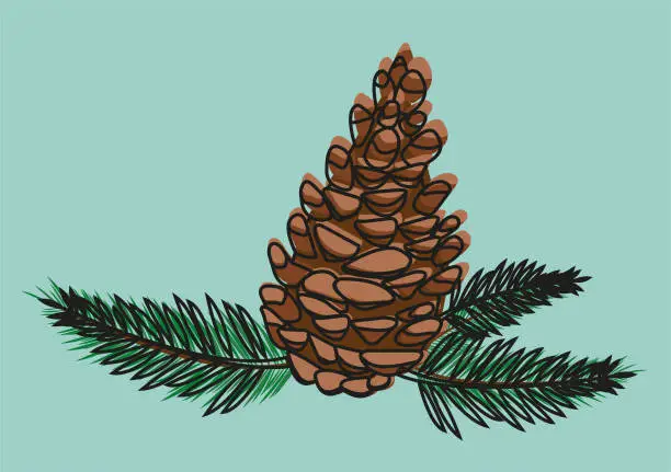 Vector illustration of pine cone
