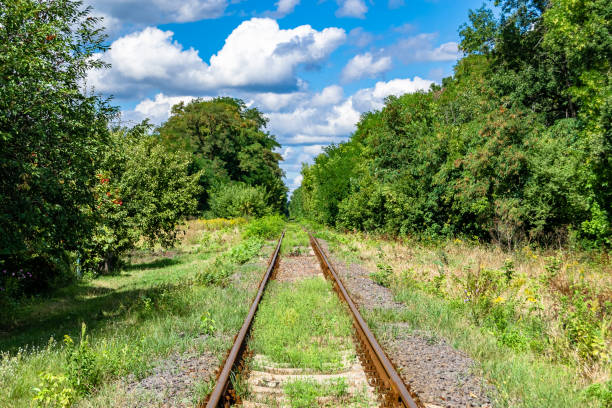 istock Photography to theme railway track after passing train on railroad 1453461494