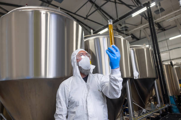 istock Professional brewer analyzing a beer sample in a glass vessel ( 1453463719