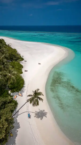 Palm tree hammock swing at Maldives hotel beach on tropical Island Resort aerial drone view