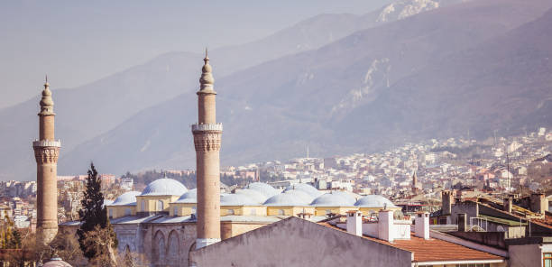 istock Bursa Grand Mosque and Uludag mountain landscape view. 1453464643