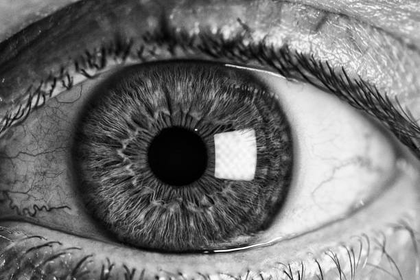 istock Grayscale shot of a human eye 1453465854