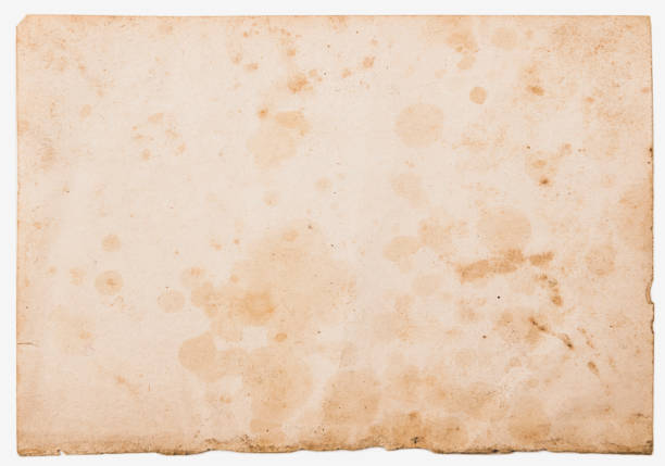 paper texture background