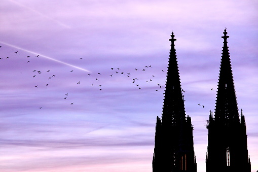 Beautiful sky with flying birds and cathedral