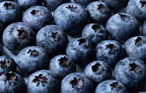 Blueberries with water drops.