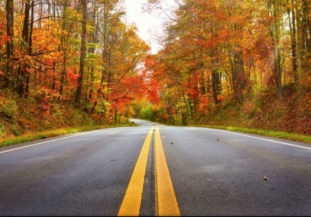 istock Desolate mountain road in autumn. Bright fall colors in north Georgia mountains. 1453478665