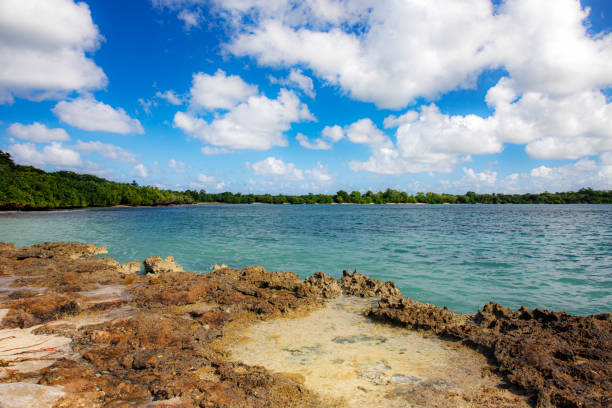 istock Landscapes and beaches in Guadeloupe 1453485421