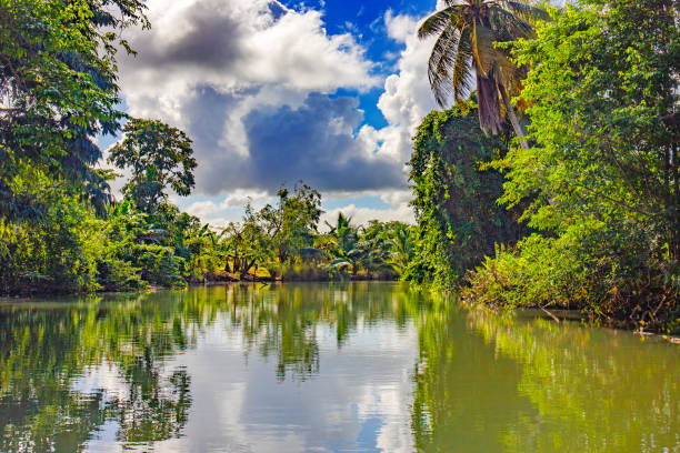 istock Landscapes and beaches in Guadeloupe 1453486403