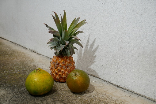 Ugli fruit (Jamaican Tangelo) and orange navel 