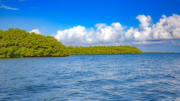 istock Landscapes and beaches in Guadeloupe 1453487544