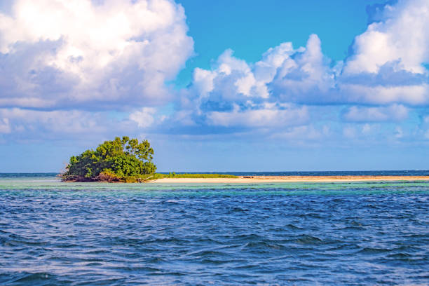istock Landscapes and beaches in Guadeloupe 1453487589