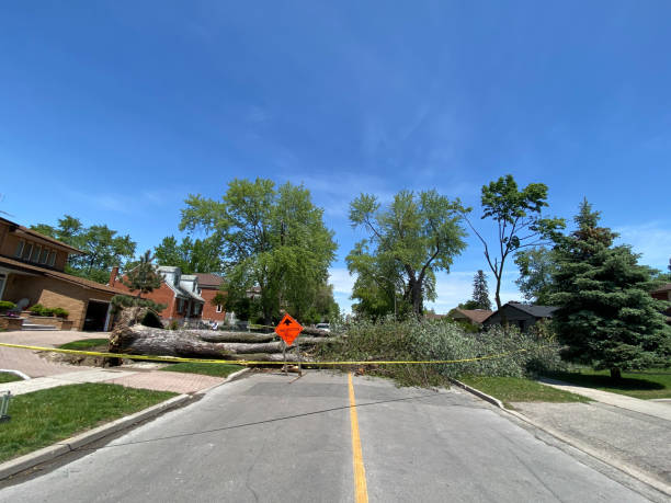istock Hurricane Damaged Homes ，CANADA 1453490938