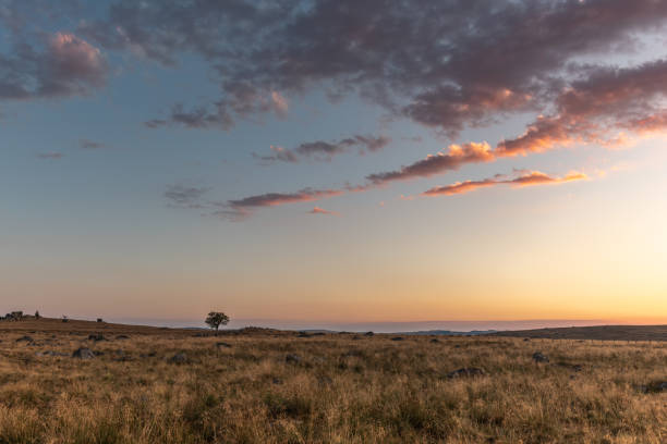 istock Landscape of Cantal at sunset. 1453492017