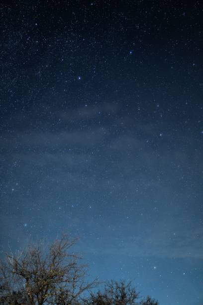 istock Vertical shot of a beautiful forest on a starry day 1453498936