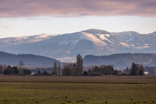 istock Morning in the Skagit Valley 1453502071