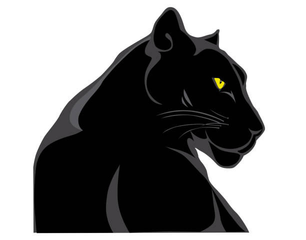 cougar Black Panther Mascot Side View head and shoulders logo stock illustrations