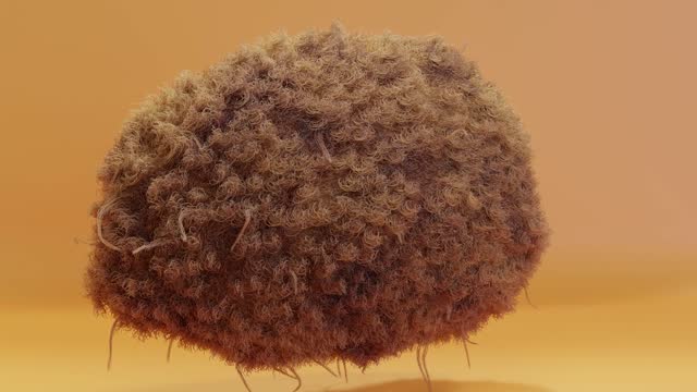 loop animation of fur pompon, ball of hair, fluffy ball, colorful furry sphere, fur ball isolated, 3d render