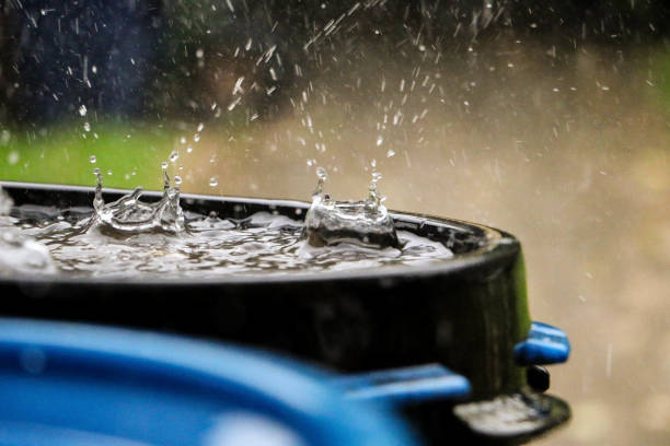 hard rain is falling in a plastic barrel full of water in the garden rain is falling in a plastic barrel full of water in the garden bianca stock pictures, royalty-free photos & images