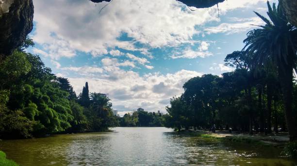Lake with palm trees, island with vegetation, blue sky