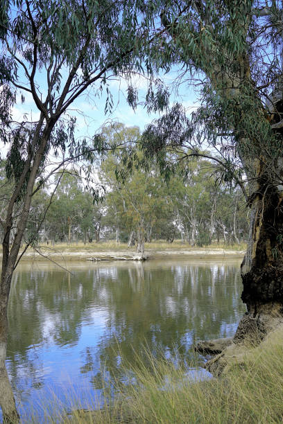 istock Hay, NSW, Australia 1453514482
