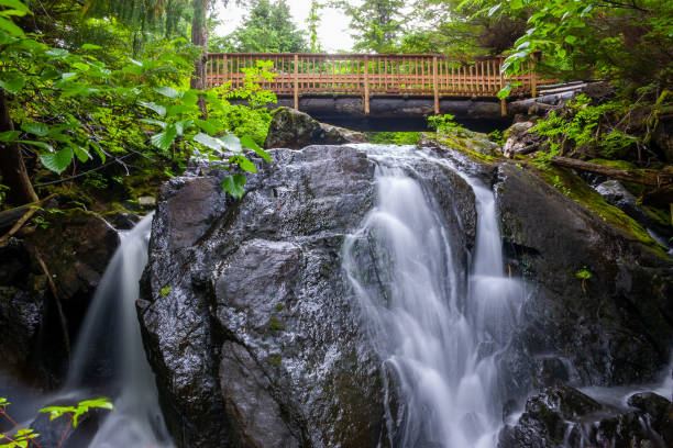 Footbridge over a waterfall in Sitka, Alaska stock photo