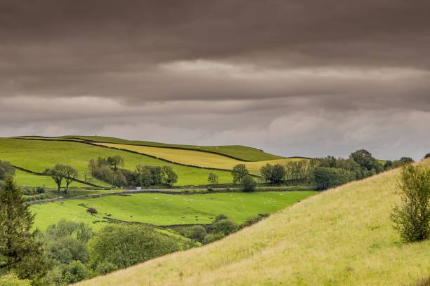 istock Scenic shot of hills and grass fields under a cloudy gloomy sky 1453520151